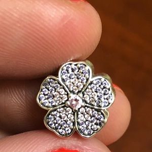 Authentic Pandora charm